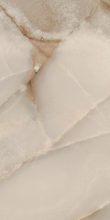 Reves Noisette Glossy 12 x 24